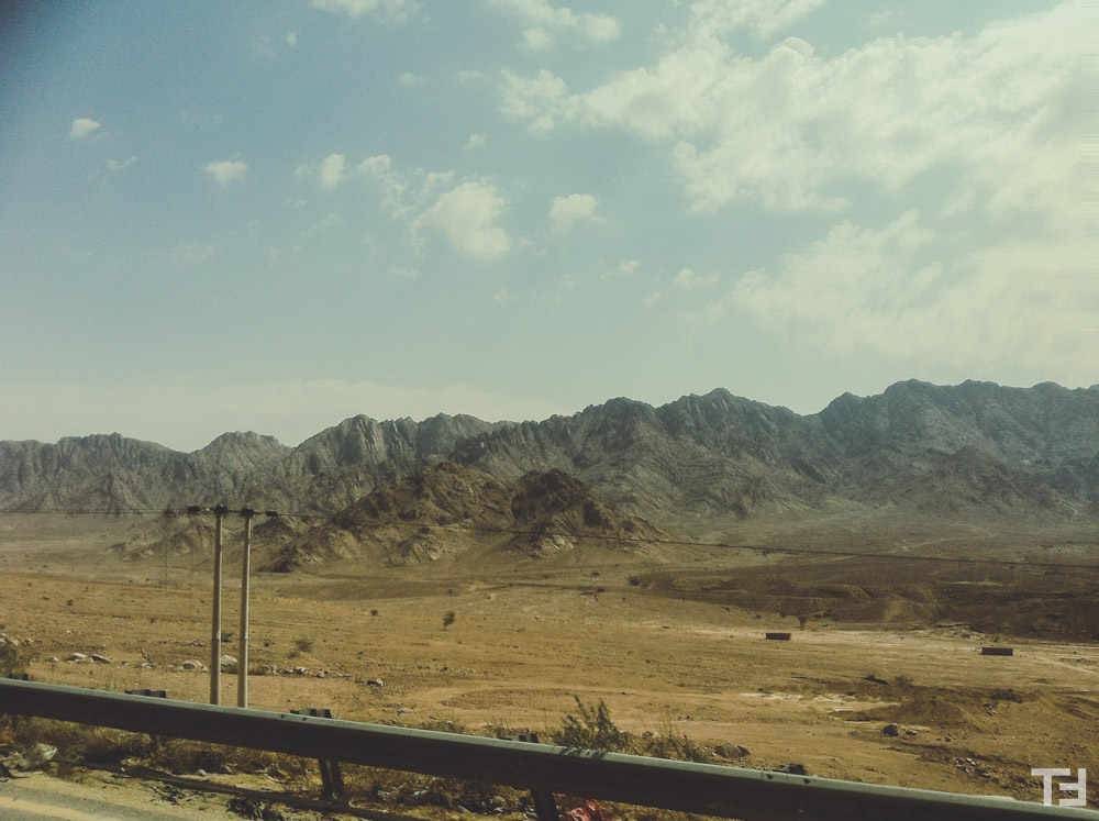 2015_S&T_MED_19